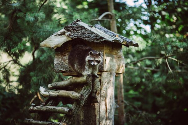 Environnement et conservation