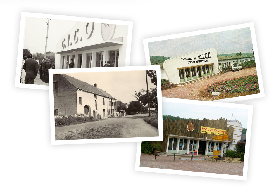 L'histoire du parc