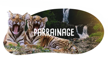 Parrainage